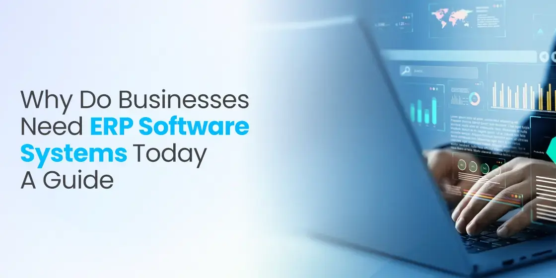 ERP Software Systems